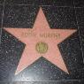 Achievement  of Eddie Murphy