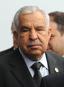 Ali al-Treki