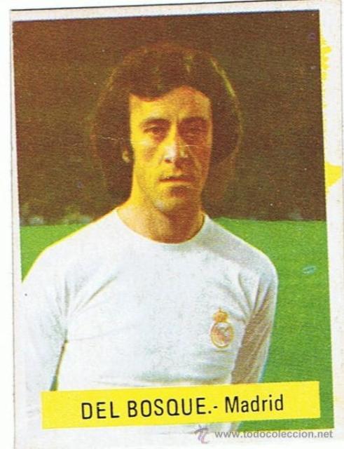Gallery of Vicente del Bosque
