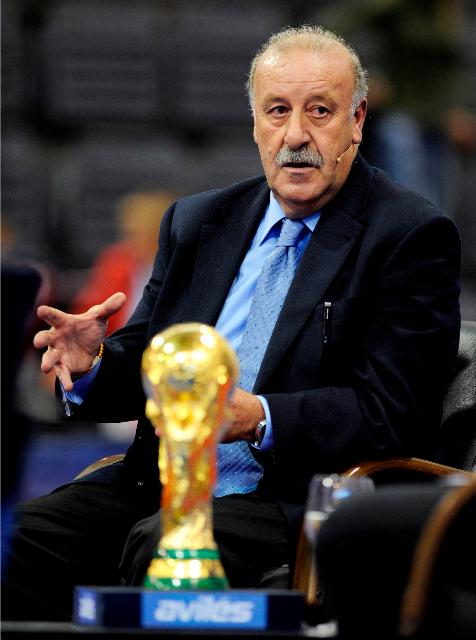 Gallery of Vicente del Bosque