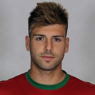 Miguel Veloso