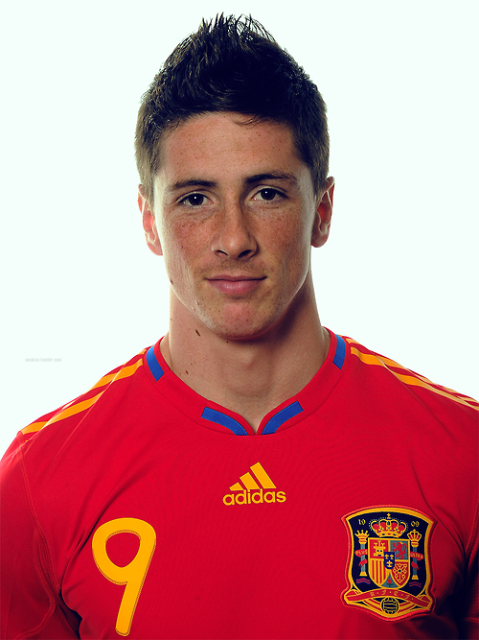 Fernando Jose Torres Sanz