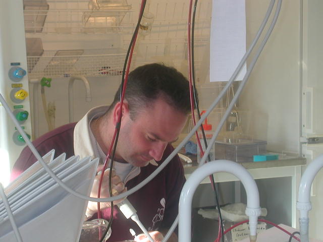 Gallery of Jean-François Picimbon