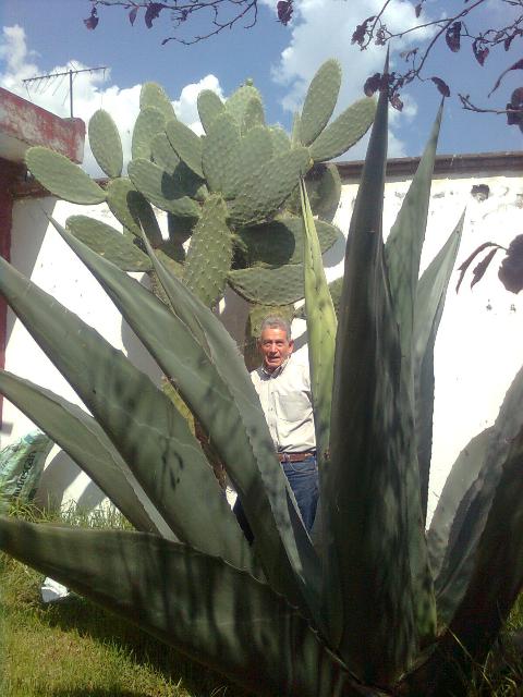 Ricardo Botello-Corte