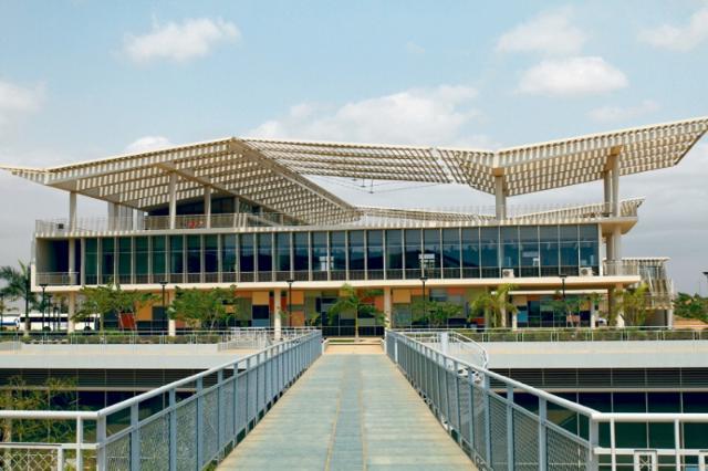 Gallery of Manuel Vicente