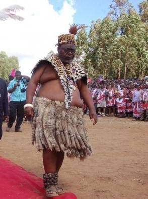 Son: INKOSI YAMAKHOSI M’MBELWA KA ZWANGENDABA JELE