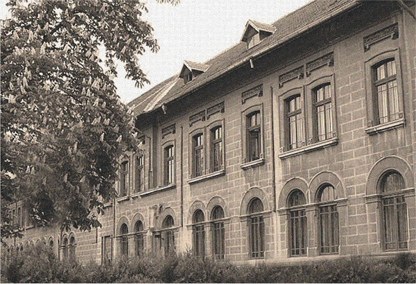 Gallery of Eugen Petac