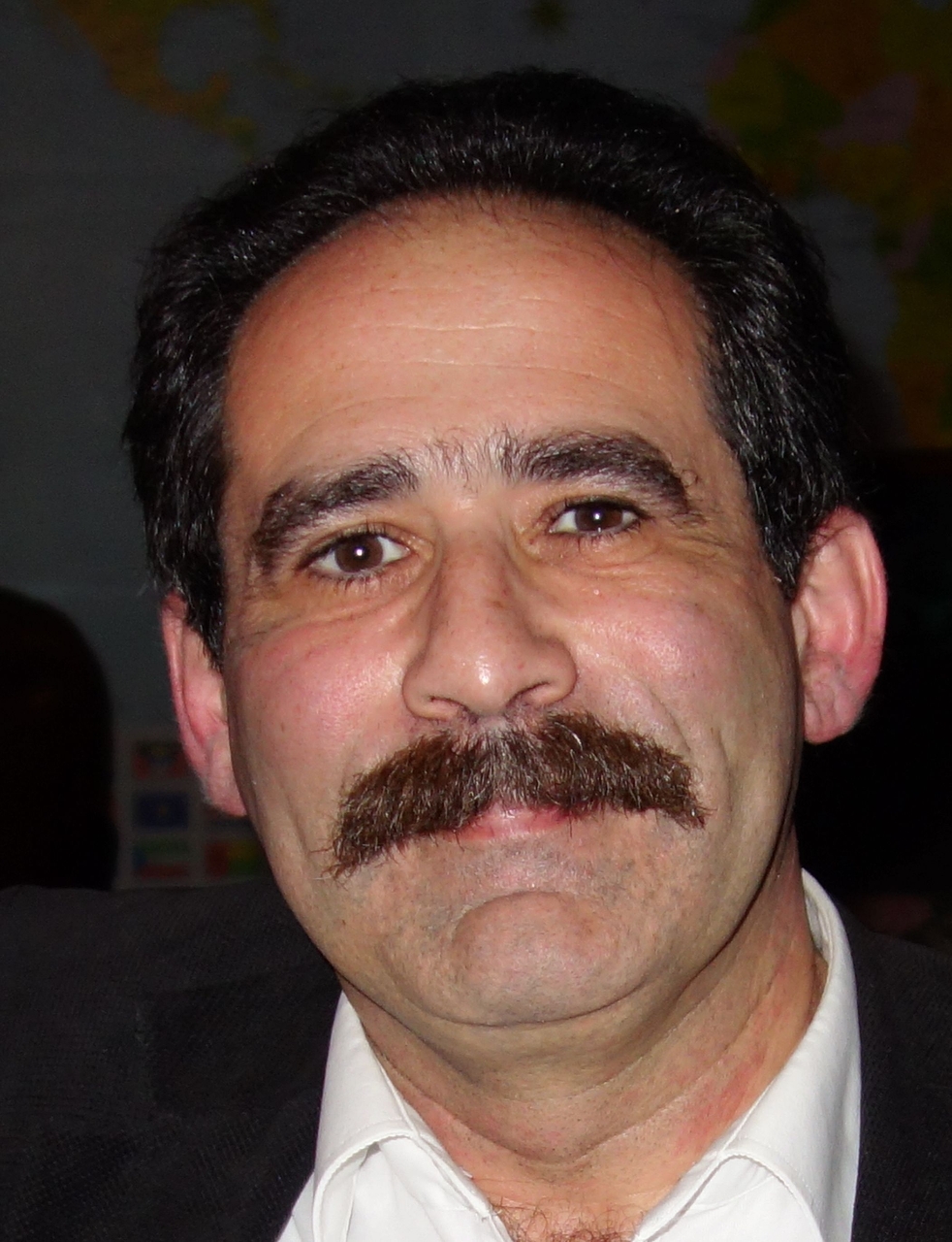 Leon L. Mishnaevsky Jr.
