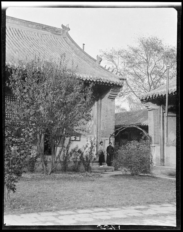 Gallery of Shu-ching Ting