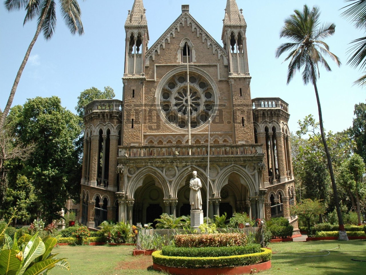 Gallery of Nimba Thakare