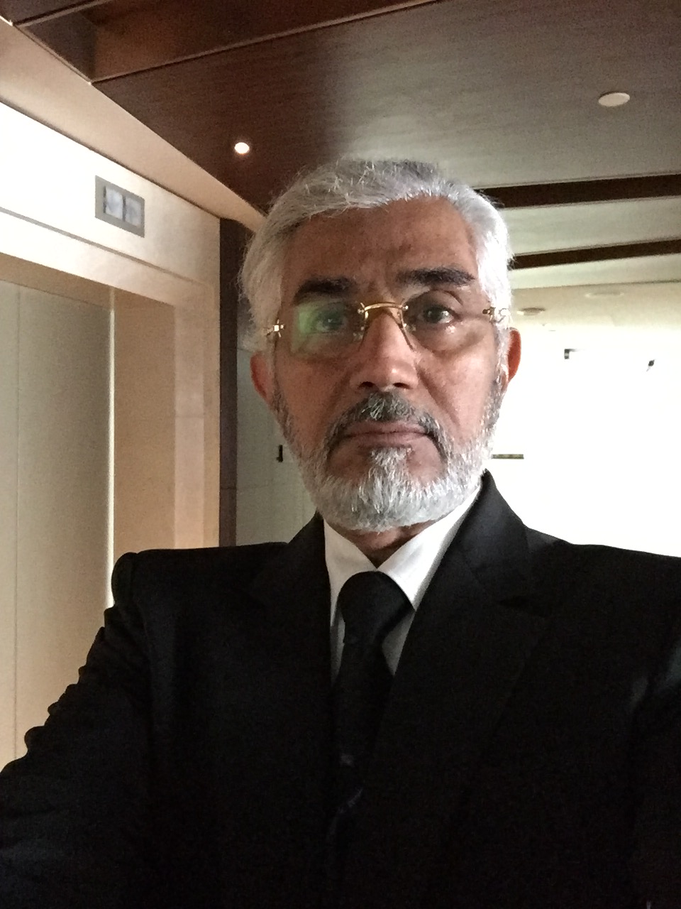 Gallery of Abdulaziz A. Saddique