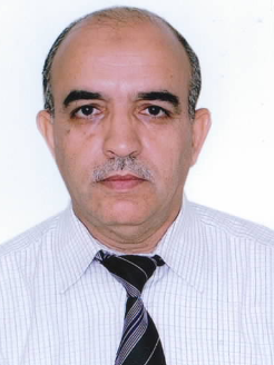 Gallery of Ahmed Bensenouci