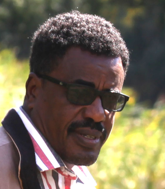 Gallery of Mohamed Elamin Hamid