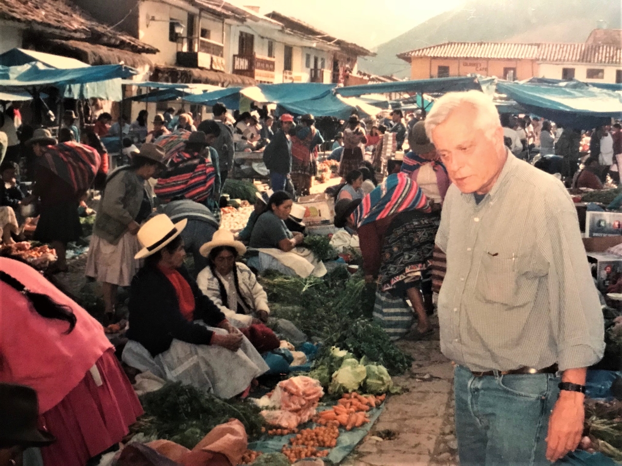 Gallery of David Carter