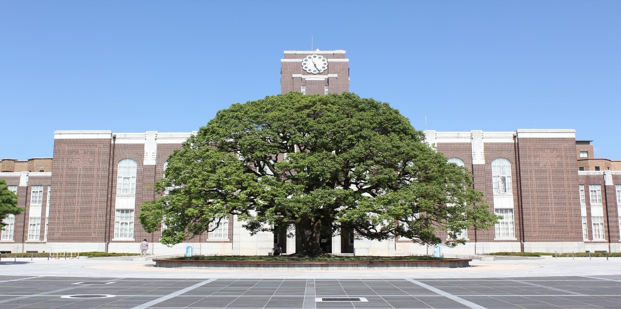 Gallery of Kazunobu Kanokogi