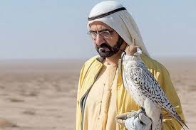 Gallery of Sheikh Mohammed bin Rashid al Maktoum