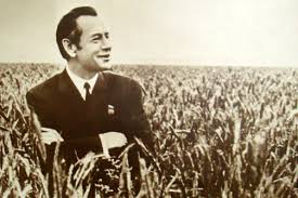 Career period of Pyotr Masherov in career