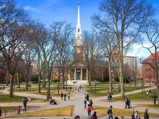 Education period of Timothy Bent in Harvard University