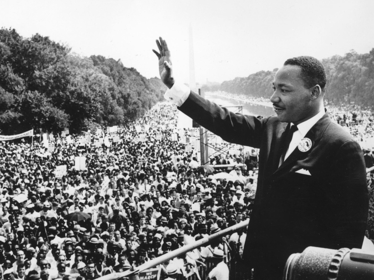 Gallery of Martin King