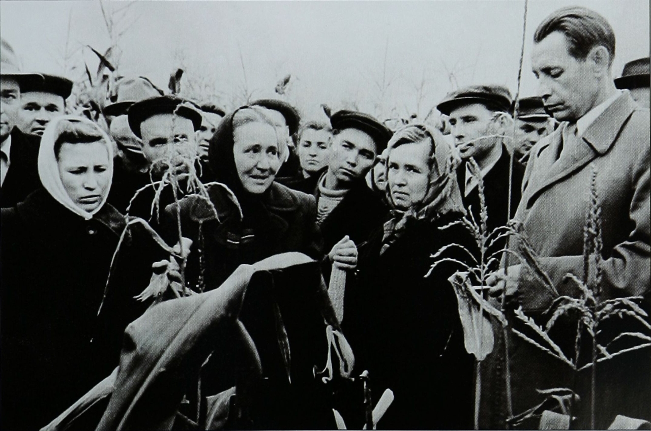 Career period of Pyotr Masherov in career