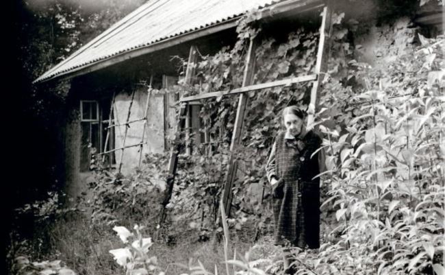 Gallery of Zośka Veras