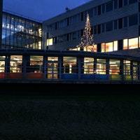 Gallery of Arno Bohlmeijer