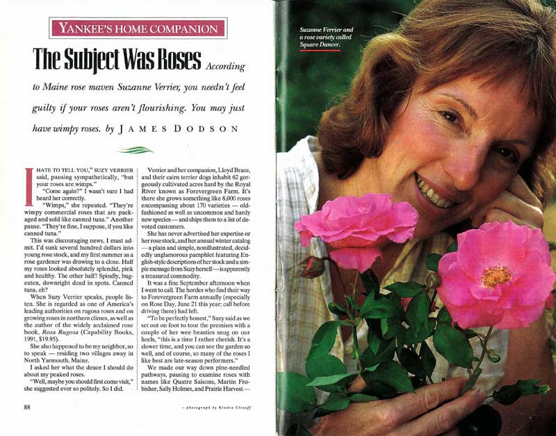 Suzanne Verrier