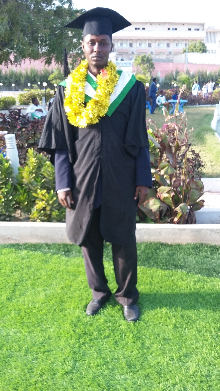 Gallery of Ali Hassan