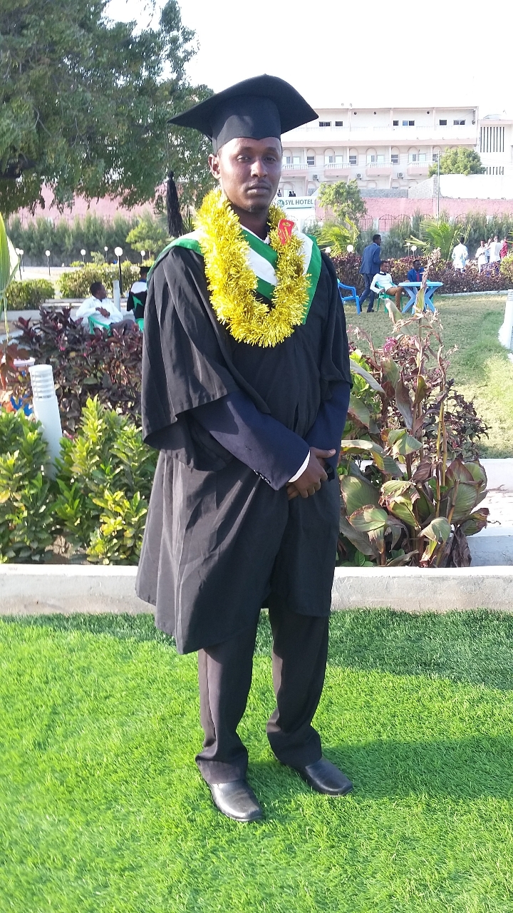 Gallery of Ali Hassan