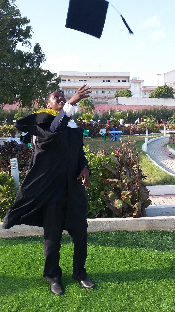 Gallery of Ali Hassan