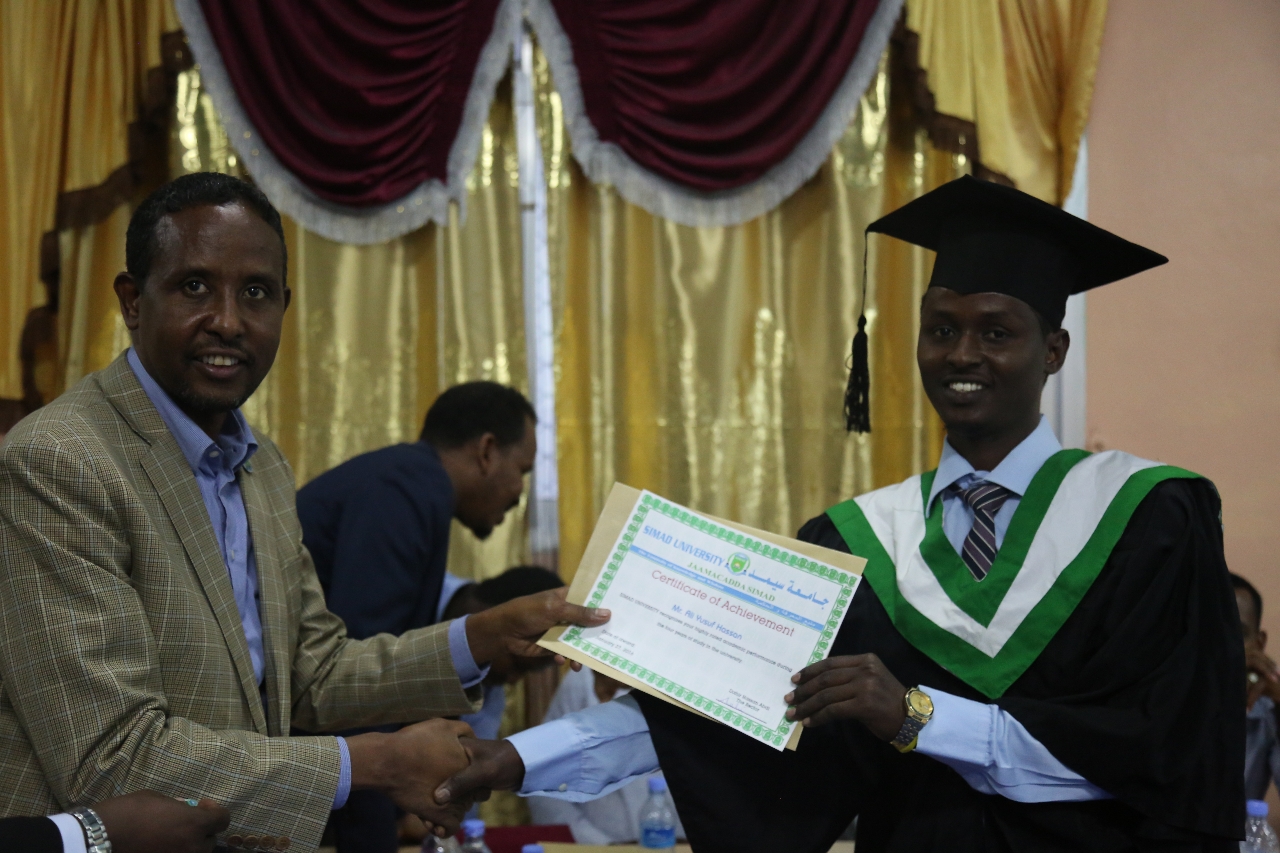 Gallery of Ali Hassan