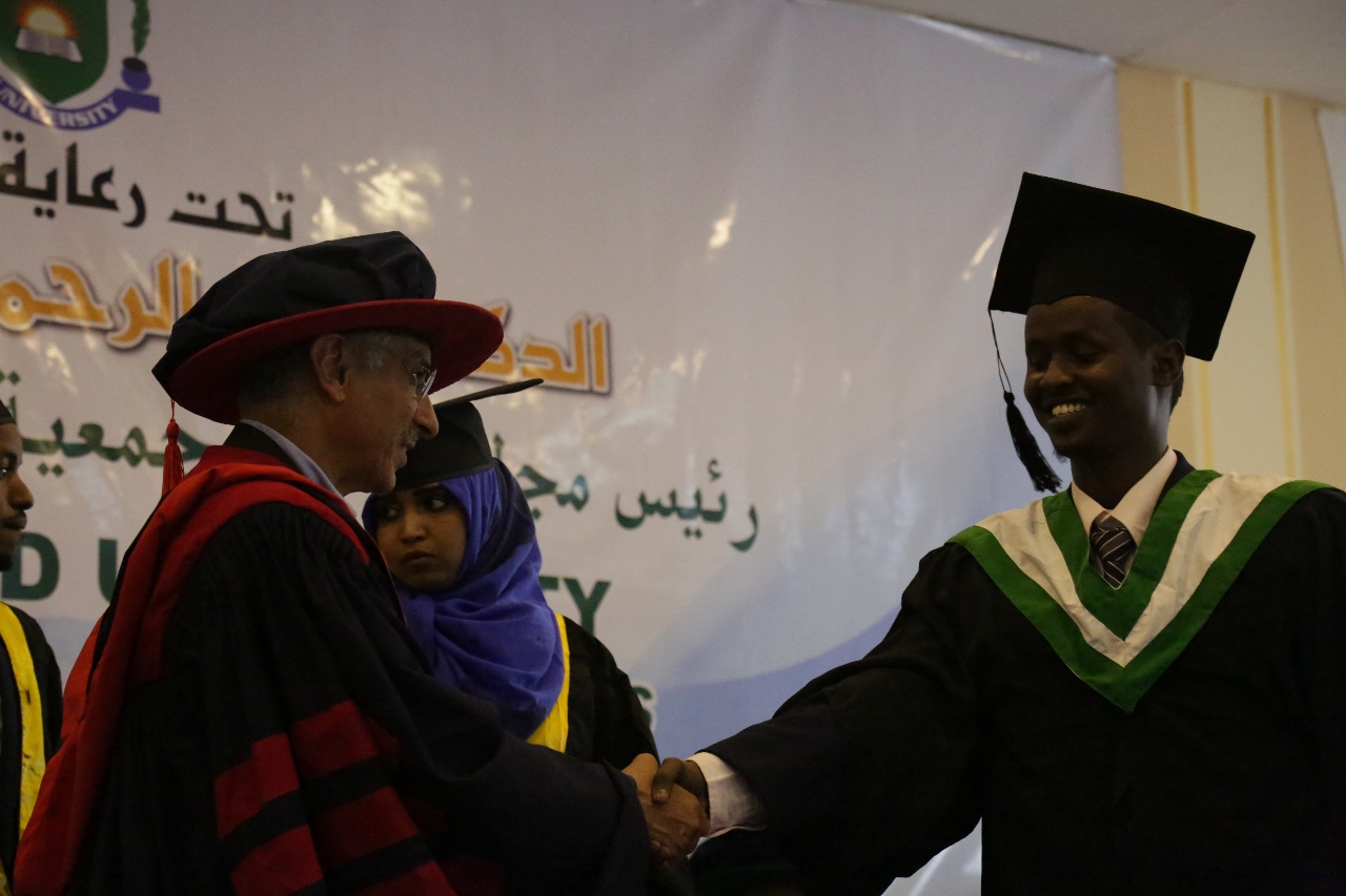 Gallery of Ali Hassan