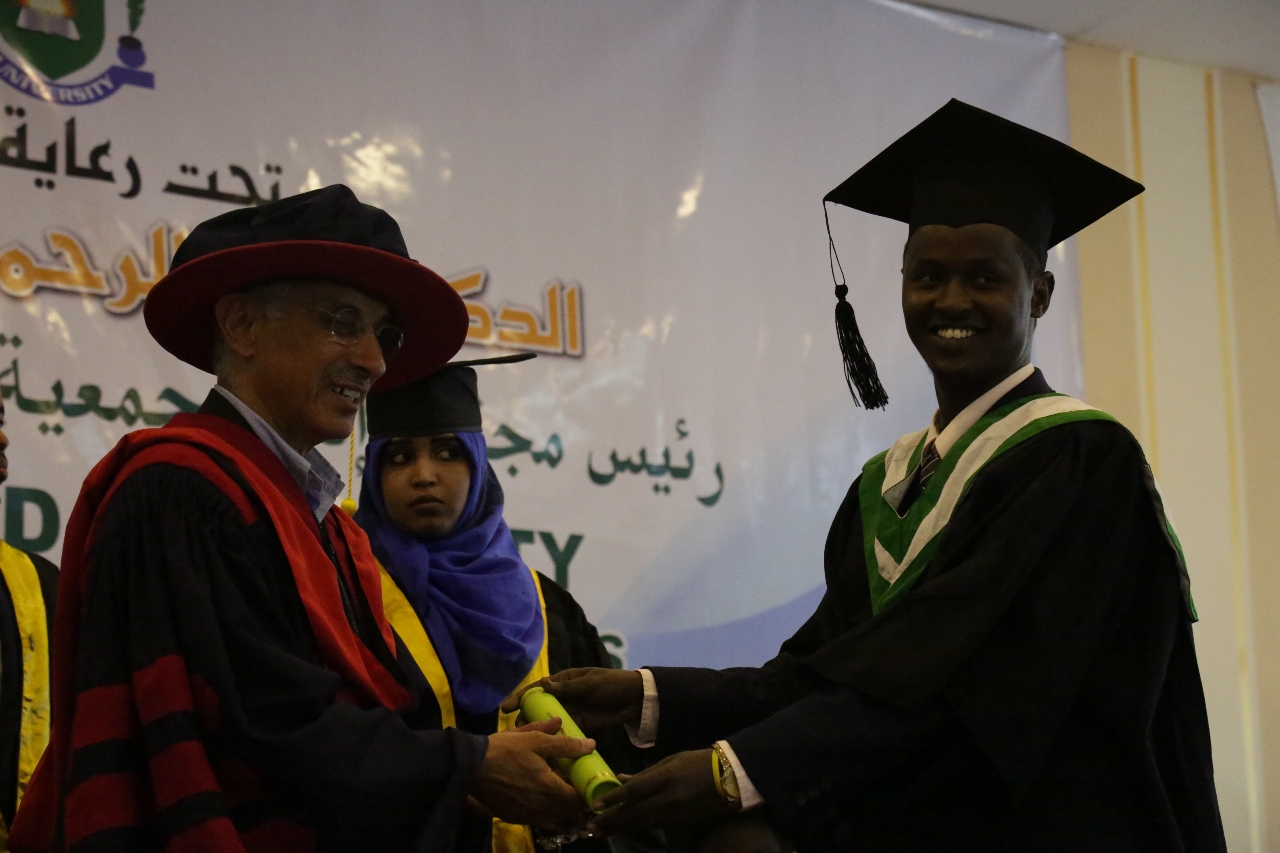 Gallery of Ali Hassan