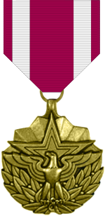Meritorious Service Award
