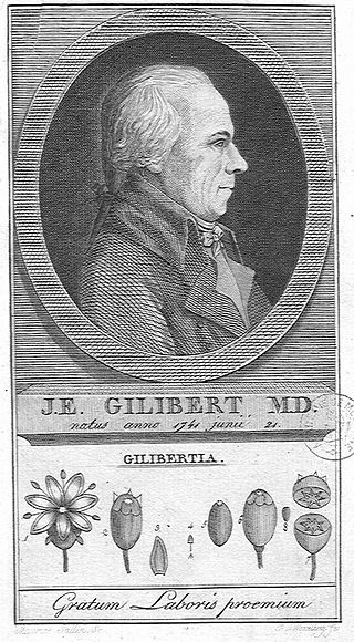 Jean Gilibert