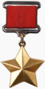 Gold Star medal