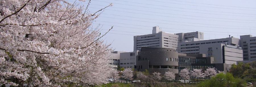 Gallery of Ikuo Nakayama