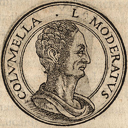 Lucius Columella