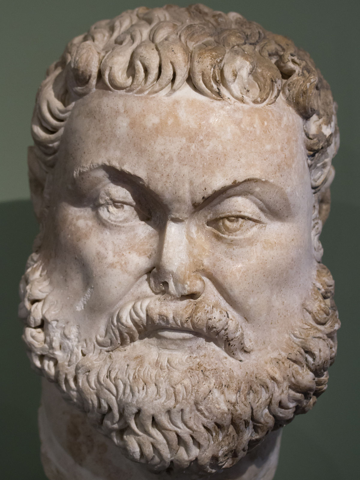 Marcus Herculius