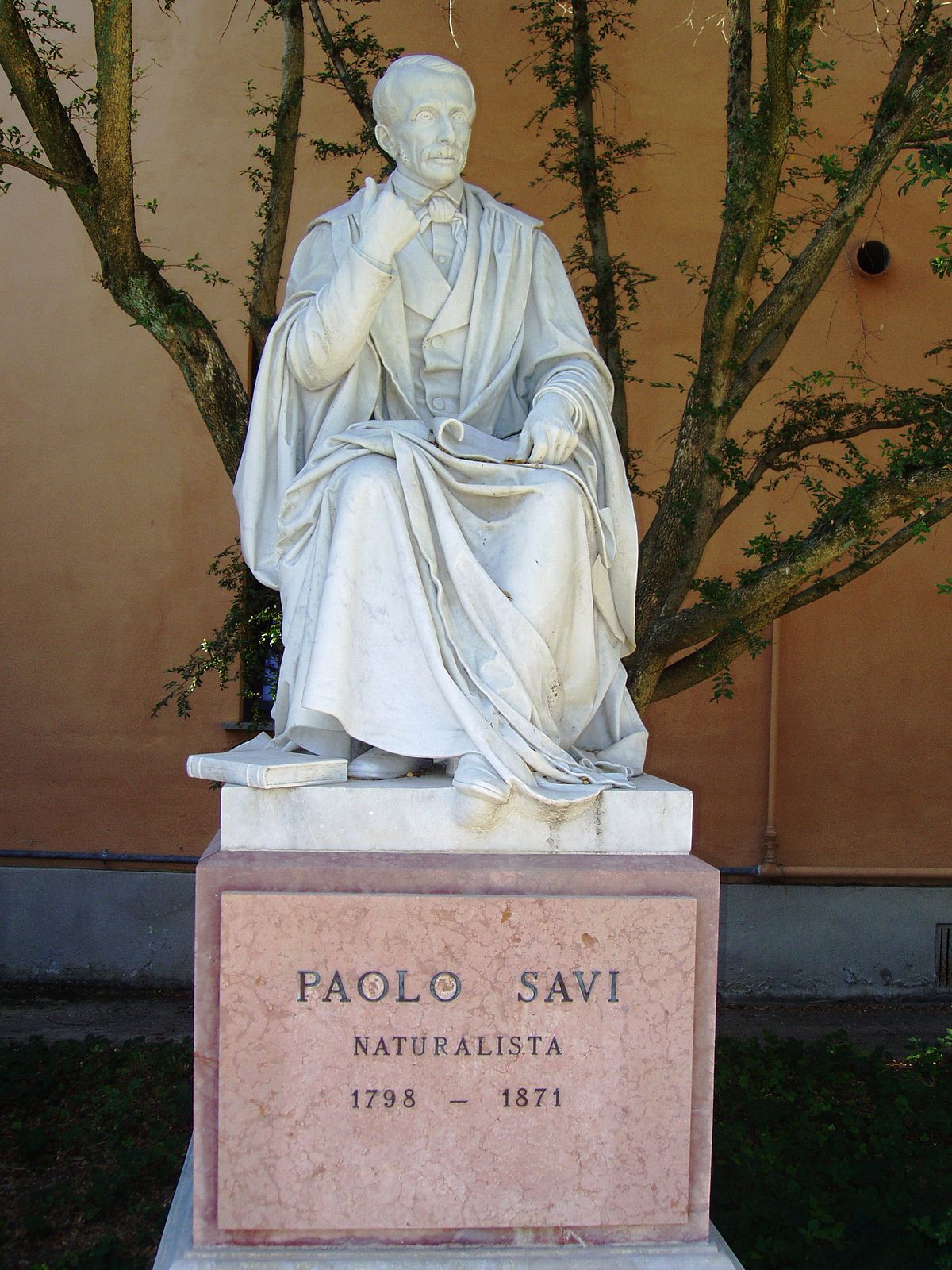 colleague: Paolo Savi