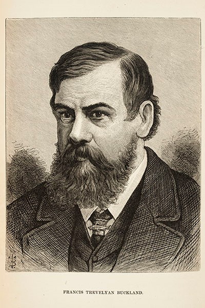 Francis Buckland