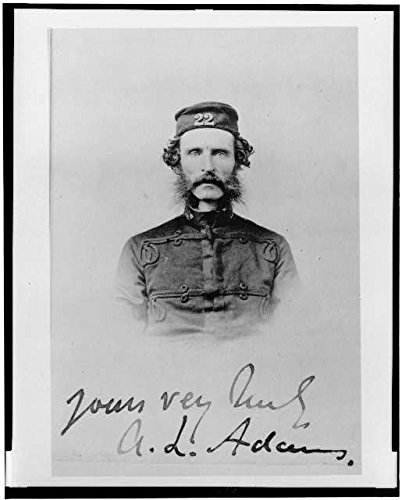Andrew Adams