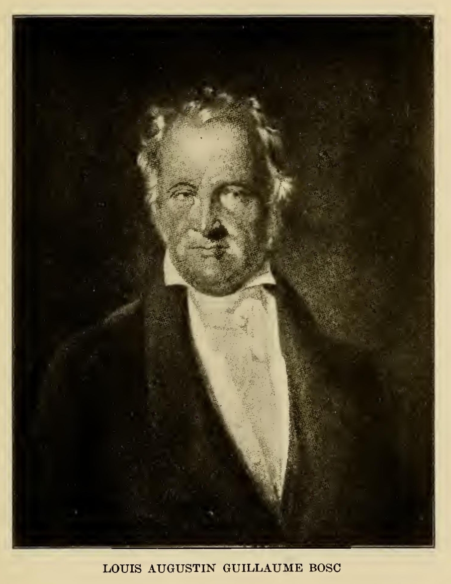 Louis Bosc