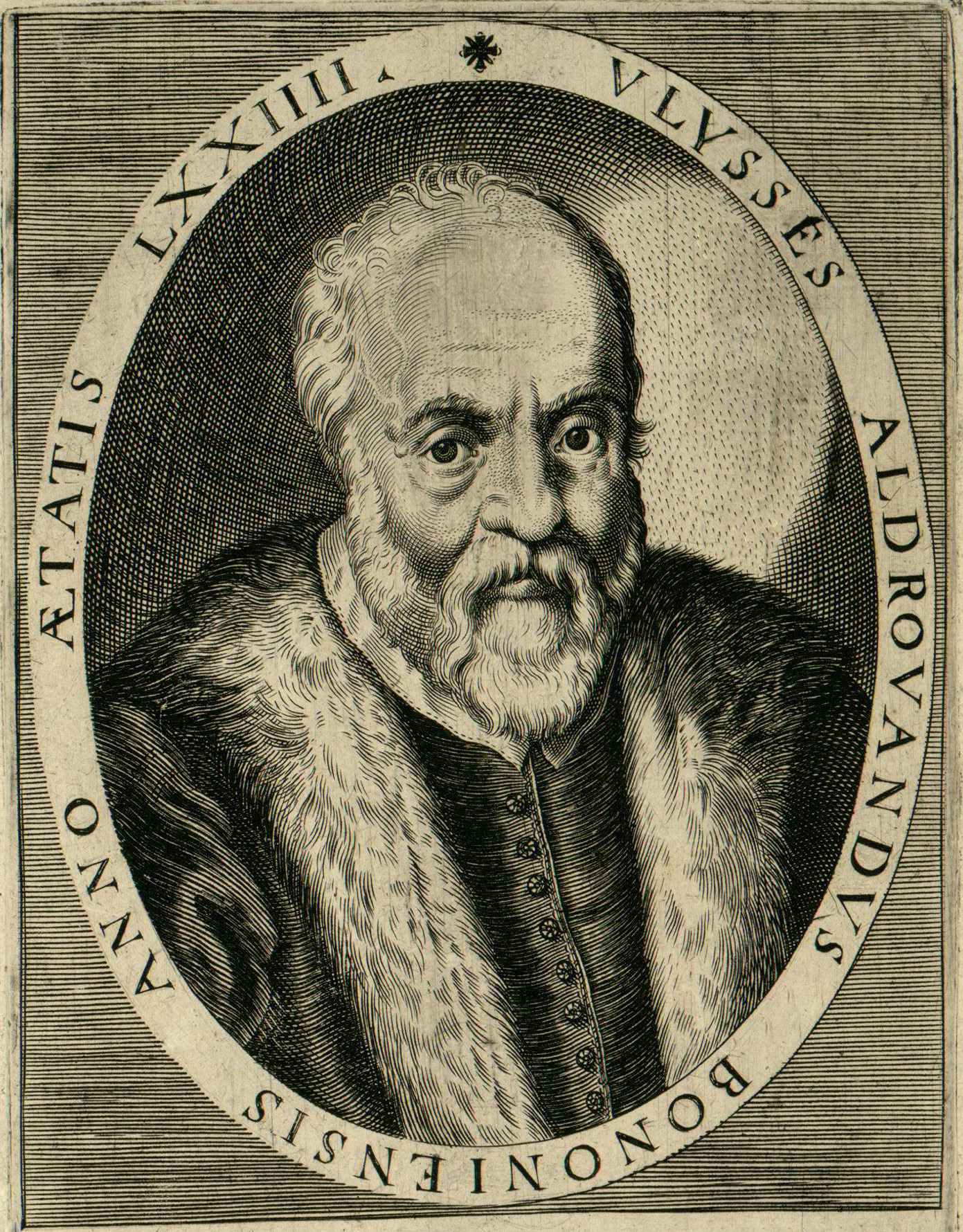 Gallery of Ulisse Aldrovandi