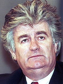 Radovan Karadzic