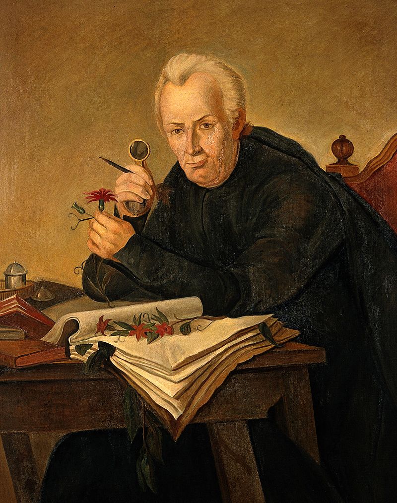 José Mutis