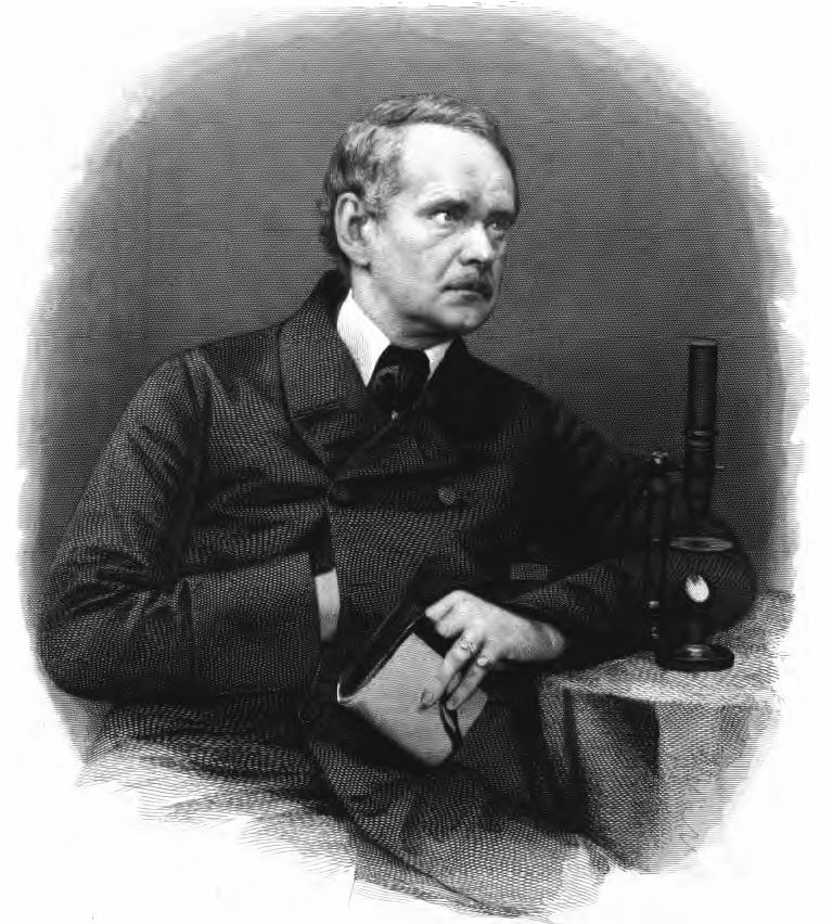 collaborator: Matthias Schleiden