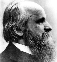 Ritter Meinong