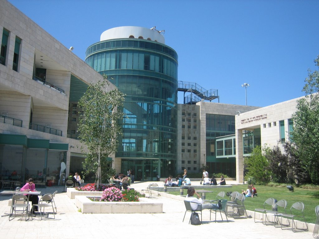 Gallery of Moshe Zeidner