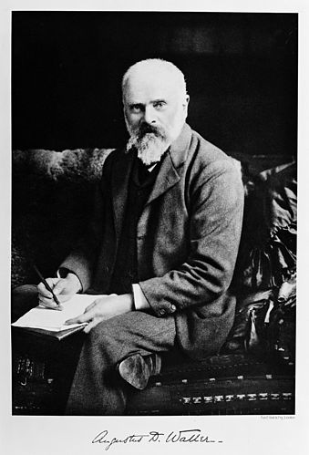 Augustus Waller